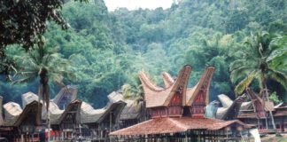 Toraja International Festival - Rumah Adat Toraja